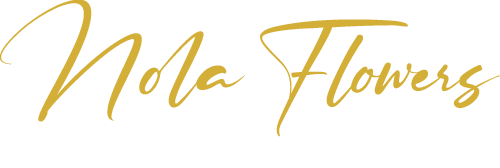 Nola Flowers | nolaflowers.com.au | | flowers near me | flower shop near me | flower delivery near me | fresh flowers near me | Same-day flower delivery | flower delivery near me | online flower delivery | flower delivery gold coast | flower delivery brisbane